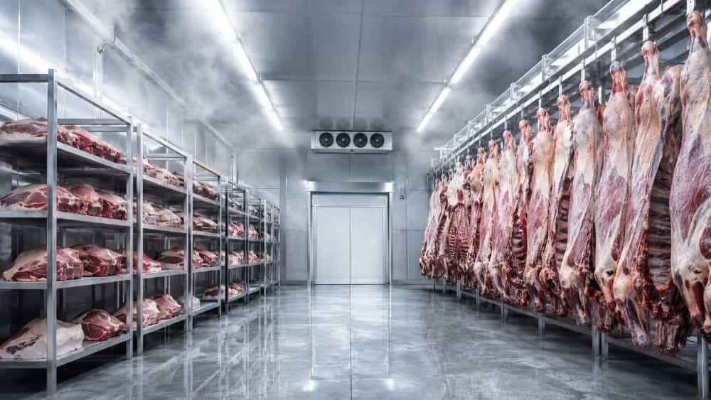 ساخت سردخانه گوشت با بهترین کیفیت